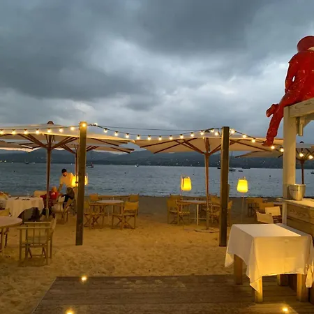 Gasmim18 - Golfe De St-tropez - Maison Climatisee Dans Domaine Arbore * Gassin